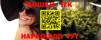 шишки Кинель