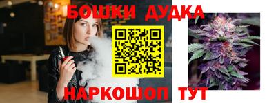 гидра Кингисепп