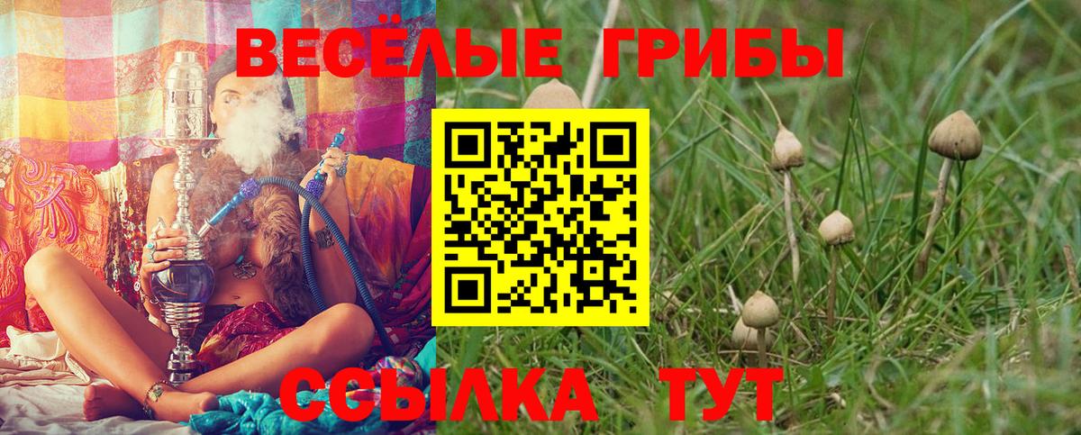 Лесной  Псилоцибиновые грибы Magic Shrooms  Вход с VPN 