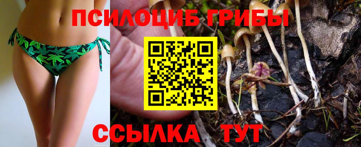 Галлюциногенные грибы Cubensis Лесной
